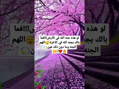 لو هذه جنه الله في الارض فما بالك بجنه الله في الاخرة اللهم الجنه وما دون ذلك هين