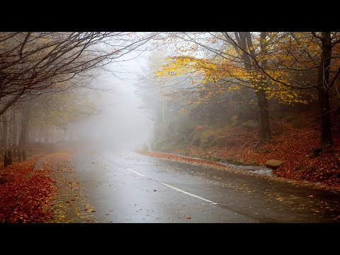 weight loss with victoza