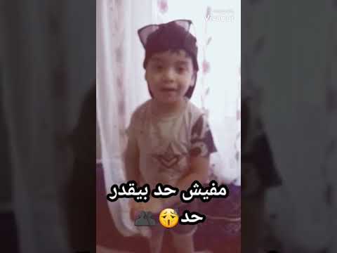 حالات ياسين سمكه كله بي اونطه