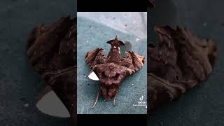 If These Images Scare You, You Might Have