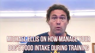 Michael Ellis on How to Manage Your Dog's Food Intake During Training