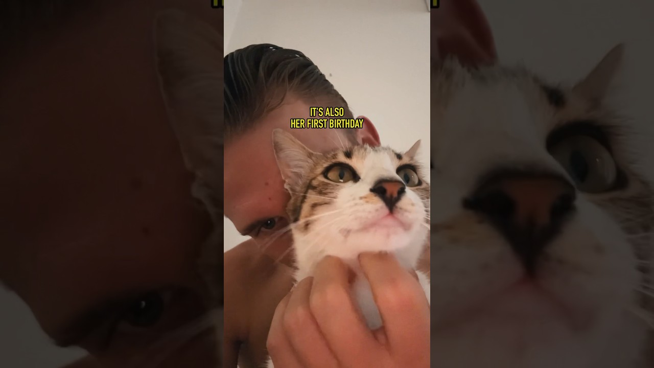 Ruby & Rico’s birthday