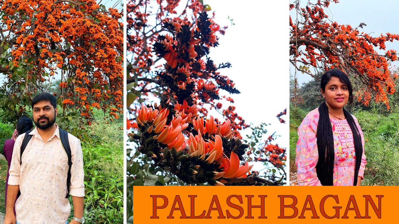 Belur Palash Bagan 2026 | Palash Garden In Kolkata | Mini Purulia | junctionthebong