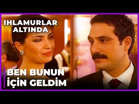 Анальный порно компиляция онлайн