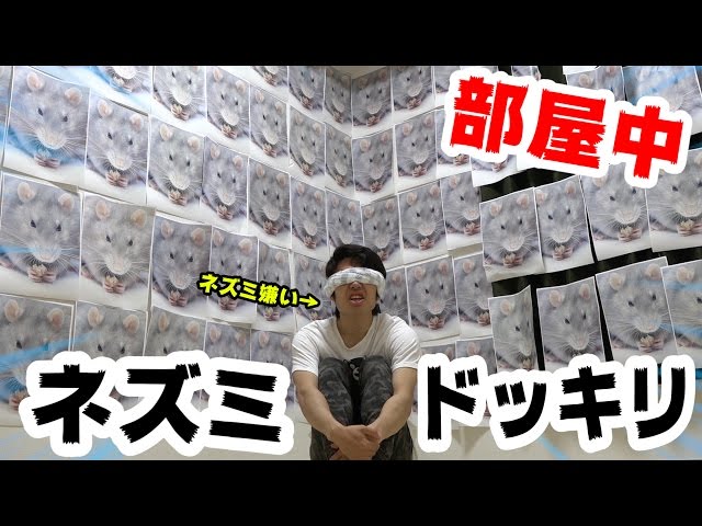 壁一面に同じ画像を貼り付ける