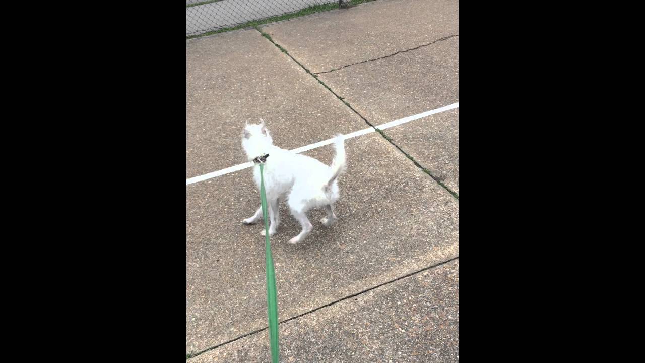 swaying back n forth