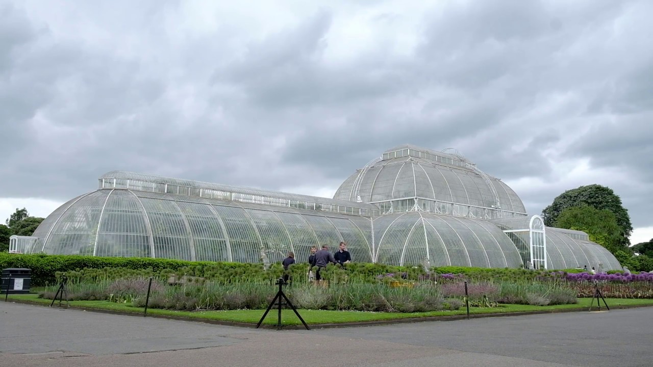 Kew Gardens - Nick Johnson, The Public Glass Houses Manager