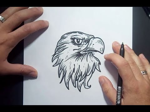 Como dibujar un aguila paso a paso 5 