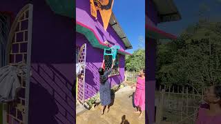 Samaritan Rescuing a Cat Stuck on Roof with a Chair