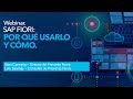 Webinar SAP FIORI: por qué usarlo y cómo