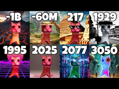 Evolution of Montagem Miau