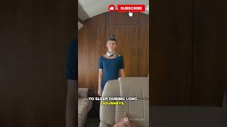 THIS IS HIDDEN ABOVE YOUR SEAT… 😳✈️ #viral #aviation #education #facts #viral #flydaily #tytalkss