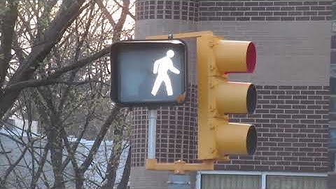 LED Walk Signal