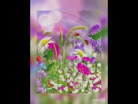 برگرد ای هدیه خدایی من شعر و صدا عباس دهقان