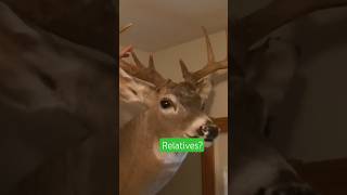 Are These 2 Related?