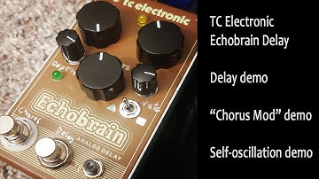 TC Electronic Echobrain Delay - Chorus and Oscillation Mods