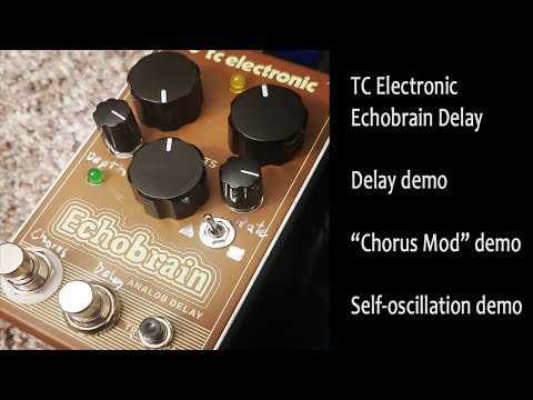 tc-electronic-echobrain-delay---chorus-and-oscillation-mods