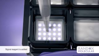 Molecular | Randox Familial Hypercholesterolemia (FH) Array