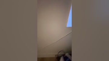 December 1st - Nanoleaf Canvas Issue - Bootloop issue