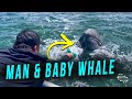 Man Playing With the Baby Grey Whale as Mom Watches Underwater