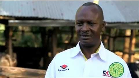 Shamba Shape Up clips   Cows Records to keep for dairy farming