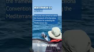 Bottlenose dolphins accompany research vessels during Israel Nature and Parks Authority survey