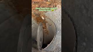 When You Don't Clean Air Ducts When You Don't Clean Air Ducts