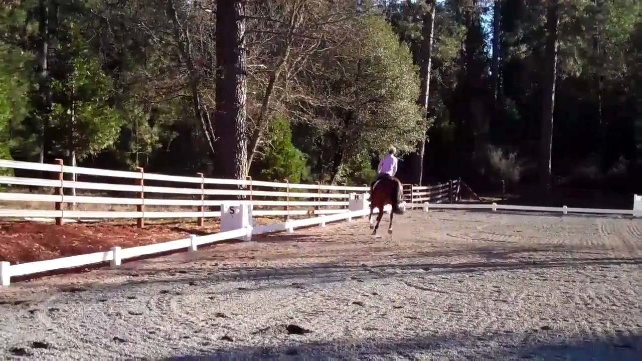 Affirminator At Crow's Ear Farm