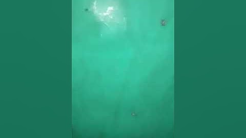 cho thuê nhà số 55 Vân Lũng, An Khánh,Hoài Đức,Hà Nội.