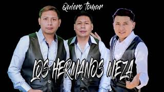 Video thumbnail of "LOS HERMANOS MEZA -quiero tomar AUDIO OFICIAL (2019) ✔"