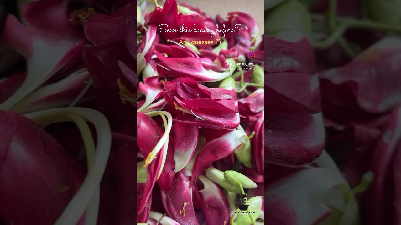 Seen this beauty before?? 