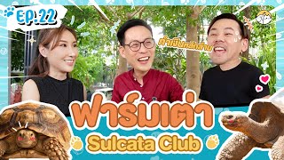 ฟาร์มเต่า Sulcata Club ทำรายได้หลักล้าน | PetsPloy EP.22