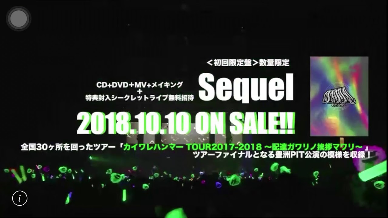 カイワレハンマー豊洲PIT少しだけ