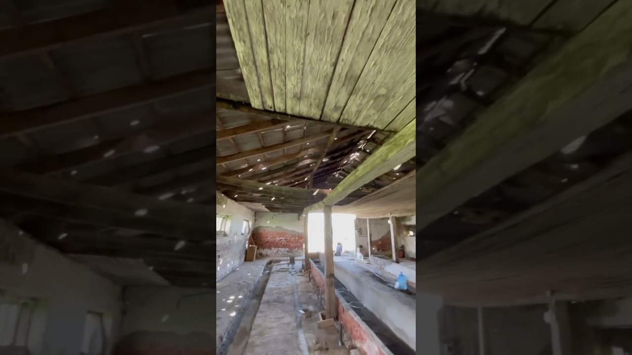 Продолжения (2видео) ремонт кошары 