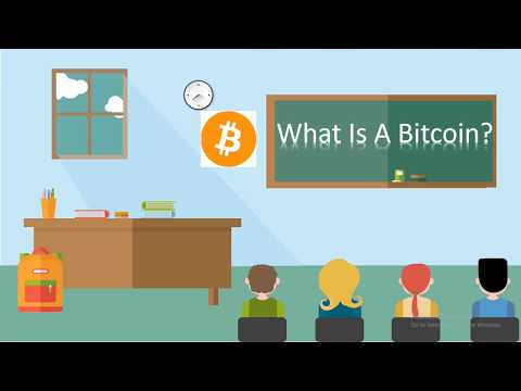What The Hell is A Bitcoin? Explained What The Hell is A Bitcoin? Explained