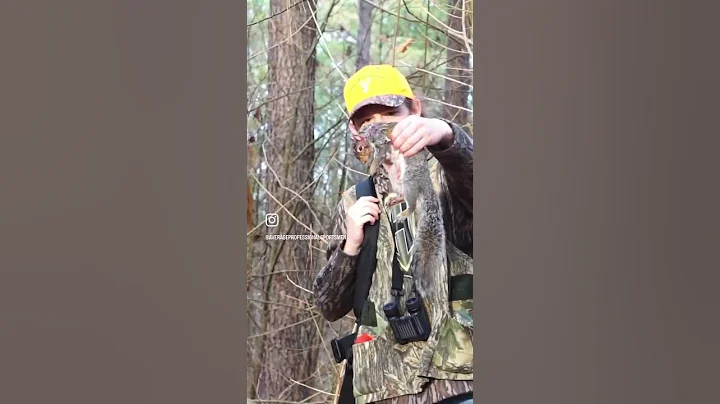 Go squirrel hunting! #shorts #hunting