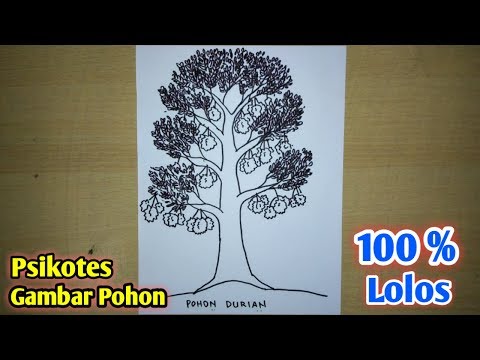 Cara Menggambar Pohon Psikotes Yang Benar Semua 