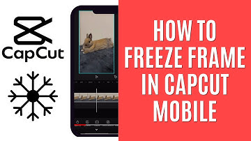 How to Freeze Frame in CapCut Mobile [Quick Guide]