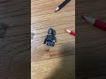 My Echo VS Your Echo My Echo VS Your Echo