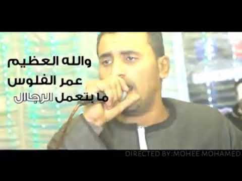 محمود سليم موال الفلوس عمرهاماتعمل رجال