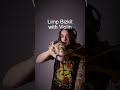 Limp Bizkit - Gold Cobra #cover #limpbizkit #violincover
