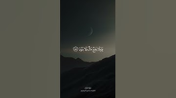 ﴿وَلا تُخزِني يَومَ يُبعَثونَ﴾ | القارئ محسن الدوسري
