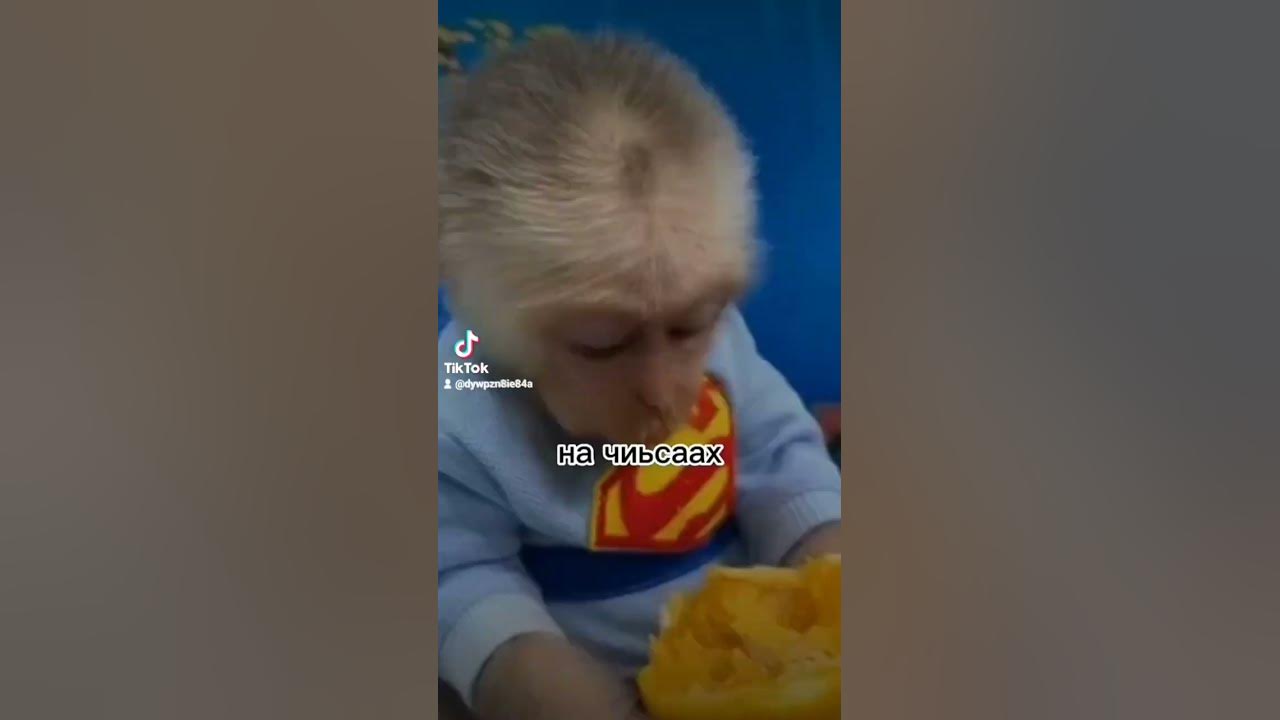 бибизьяна - YouTube