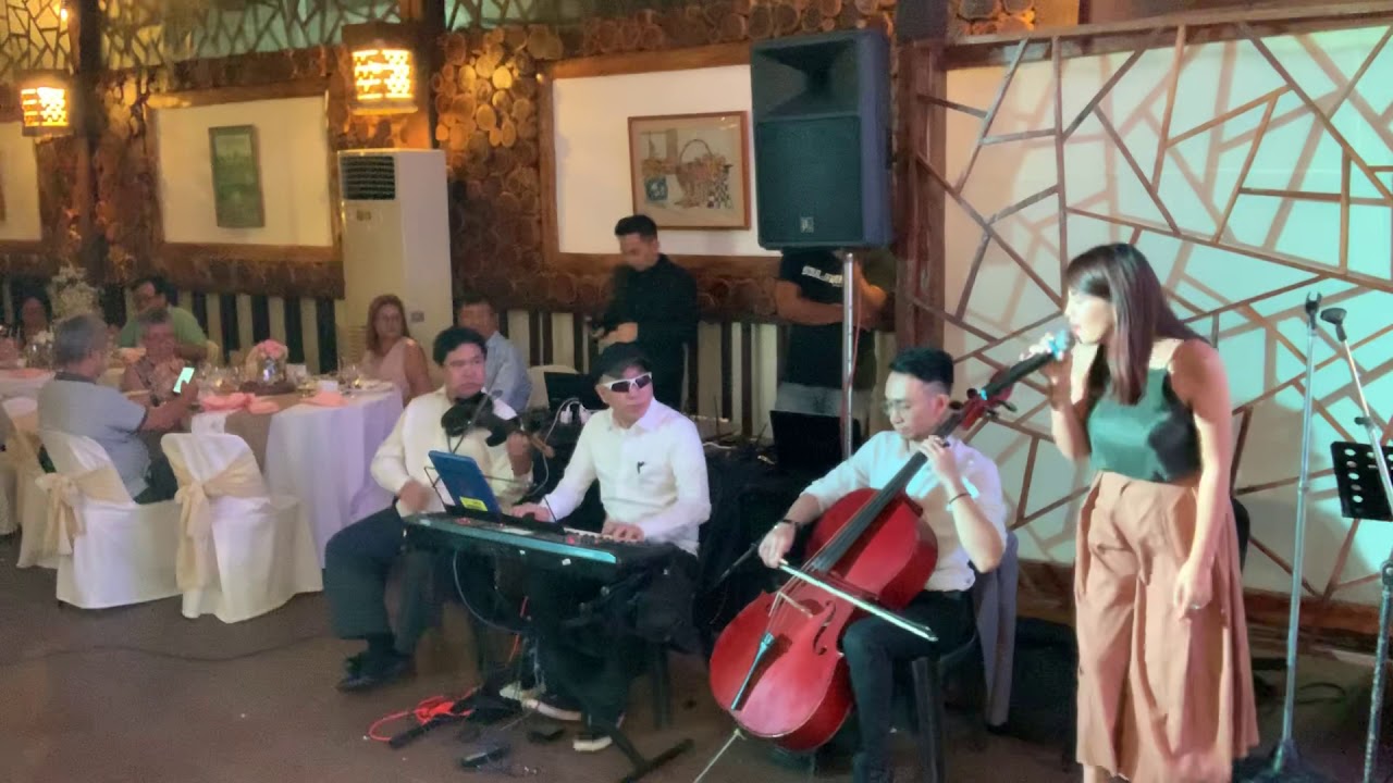 Best Musicians Bands Singers Strings Quartet Quintet Orchestra For