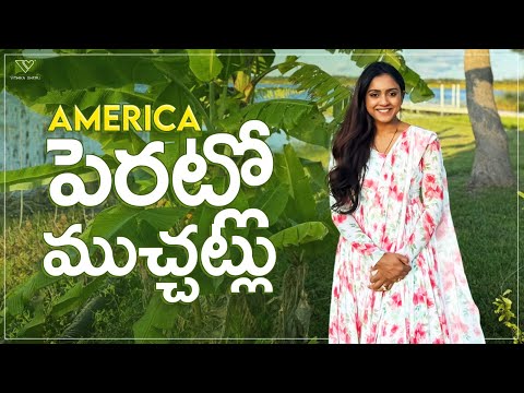 Our USA Home Backyard Stories | Family | Garden Tour | Farming | Vithika Sheru | EP - 223