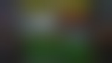 Installation guide || AC Rouge