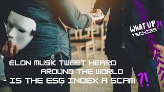 Is the ESG Index a Scam - What You Need to Know About Elon Musk's Recent Tweet