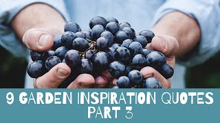 9 Garden Inspiration Quotes That Will Motivate You In The Morning Part 3
