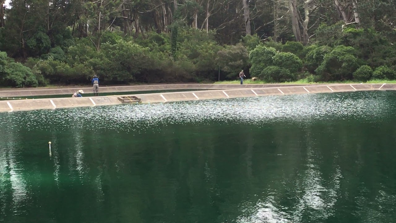 Tommy Aarkvisla's 177ft right-handed Single Spey