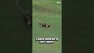 A little more than your average mower! ✈ #afv #90s #throwback